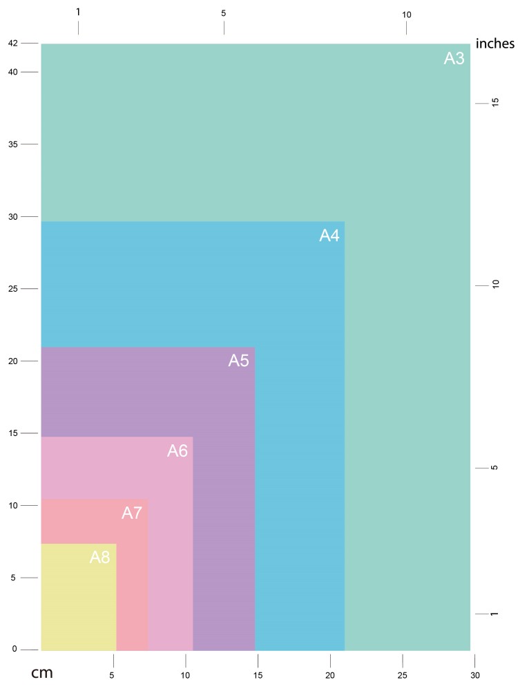 A Comprehensive Guide To Notebook Sizes Infographic Galen 52 OFF